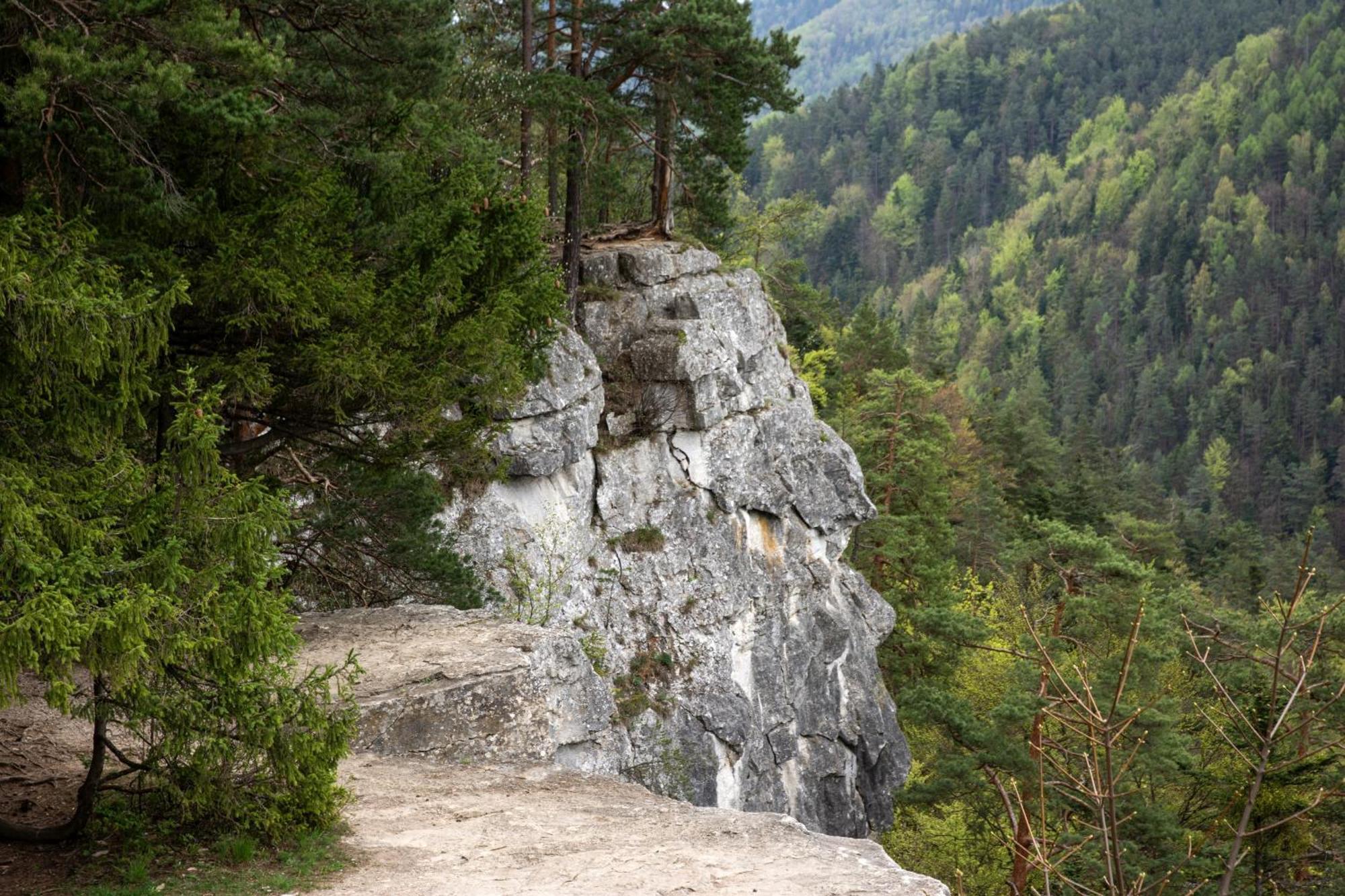 Ubytovanie U Mirca Nova Lubovna Luaran gambar